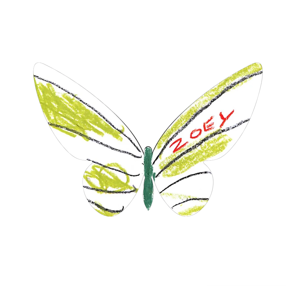 Original Butterfly Image