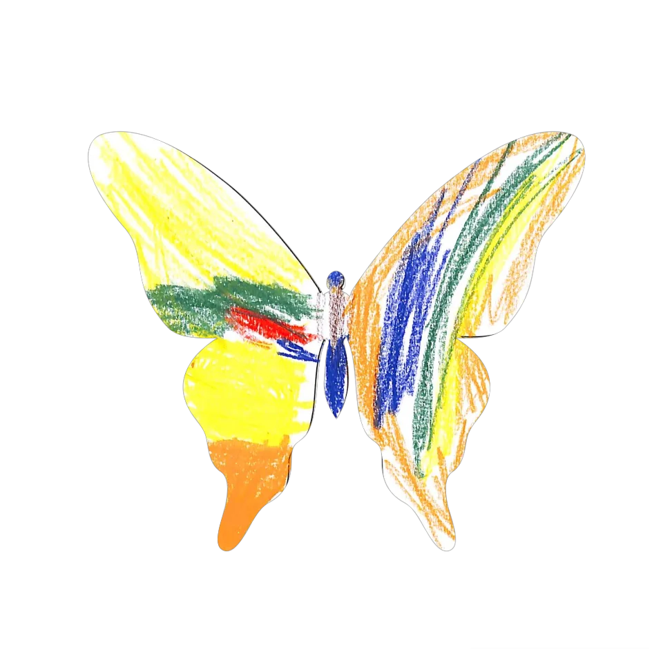 Original Butterfly Image