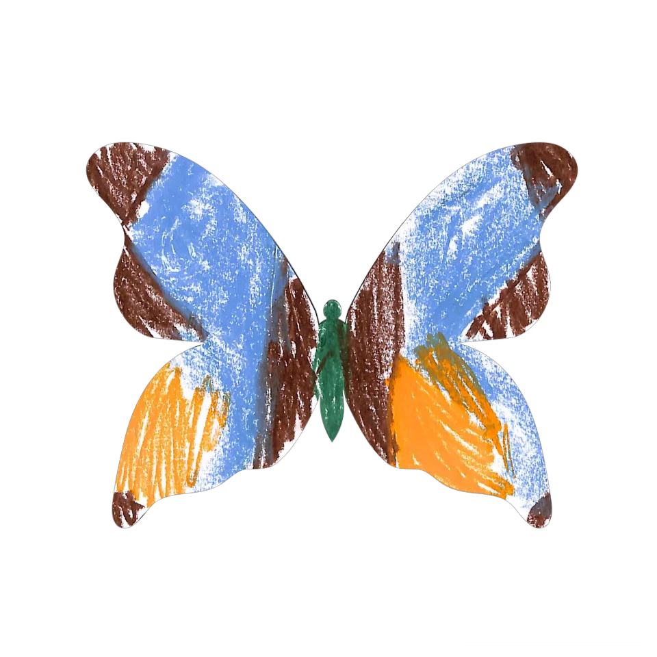 Original Butterfly Image