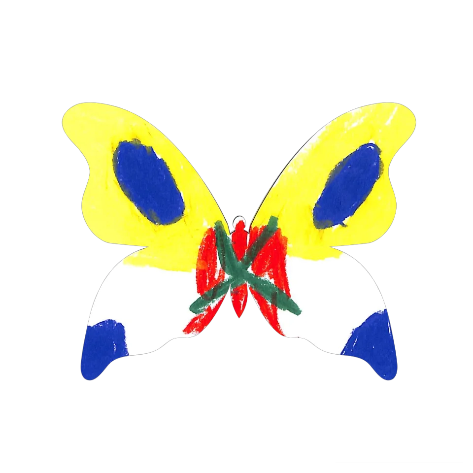 Original Butterfly Image