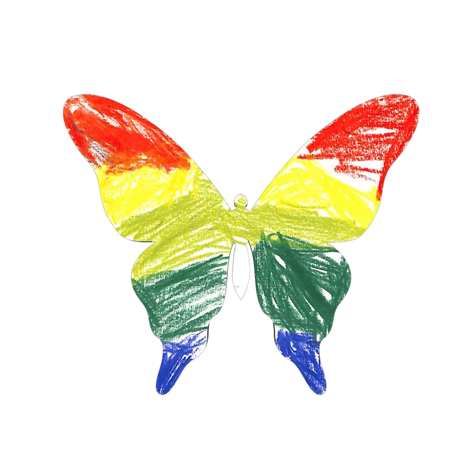 Original Butterfly Image