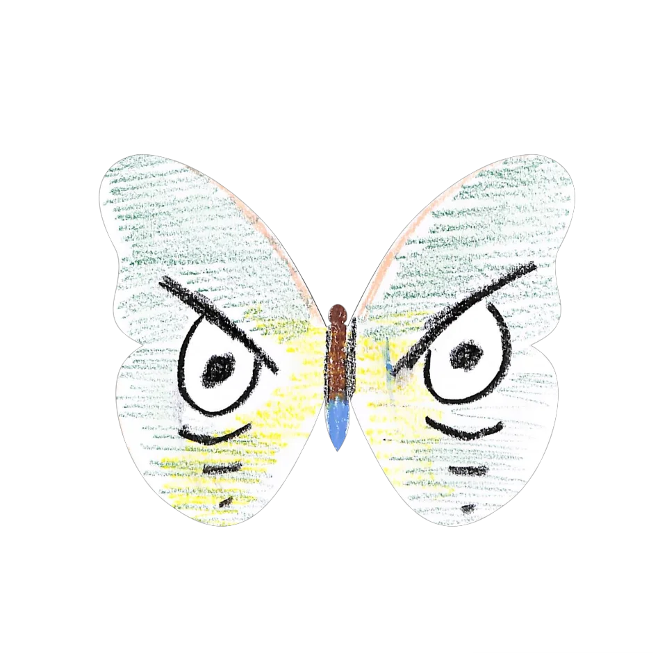 Original Butterfly Image