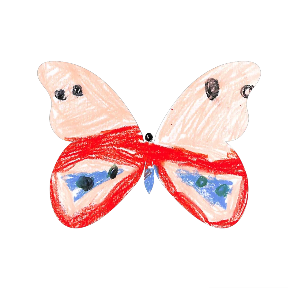 Original Butterfly Image