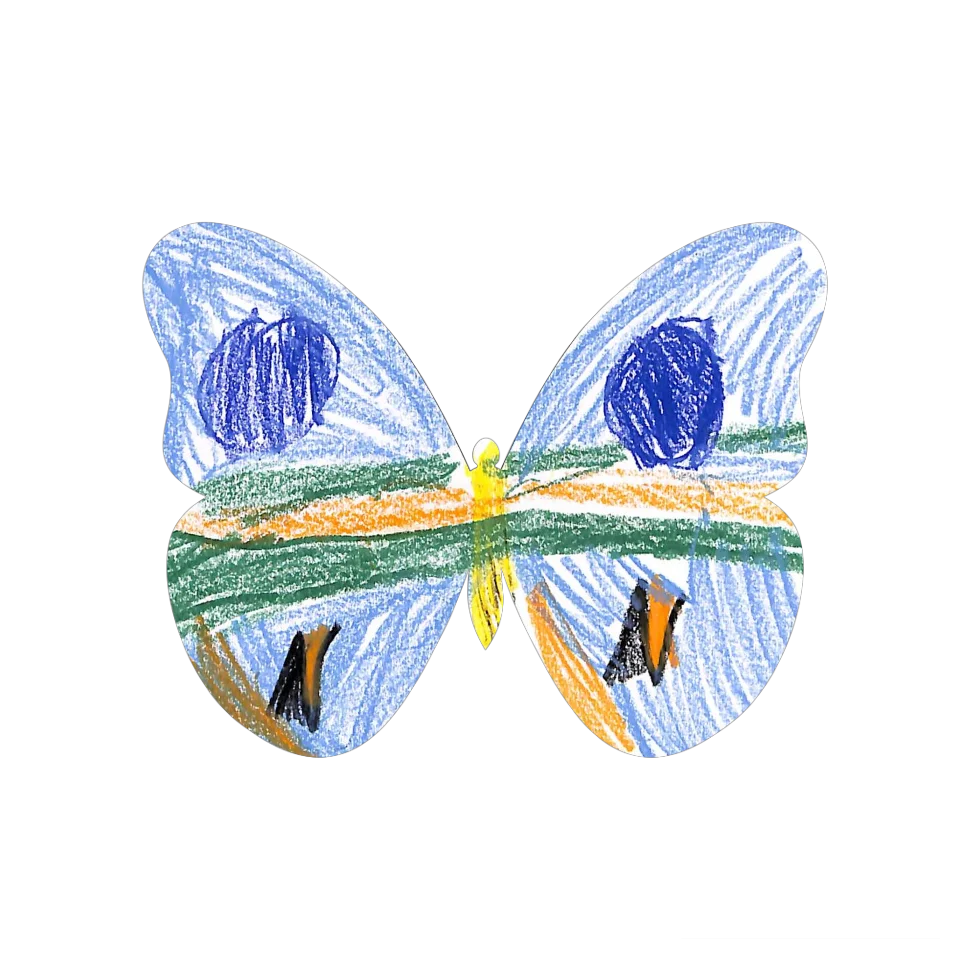 Original Butterfly Image