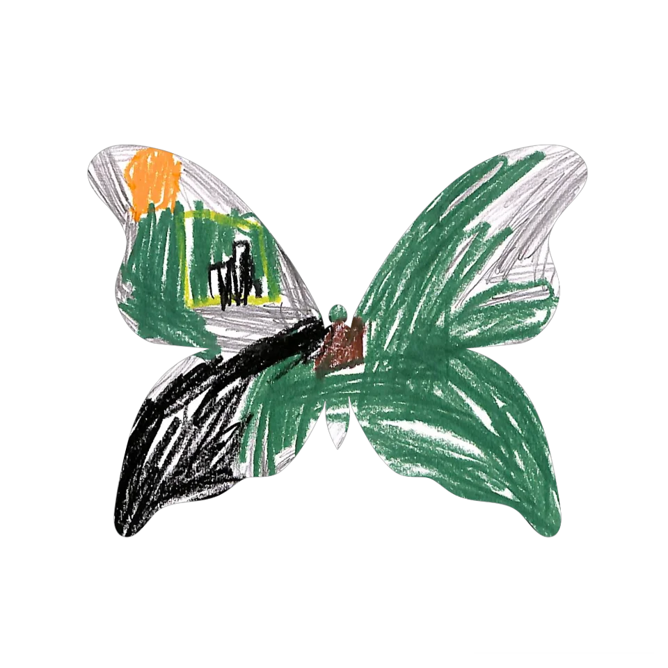 Original Butterfly Image