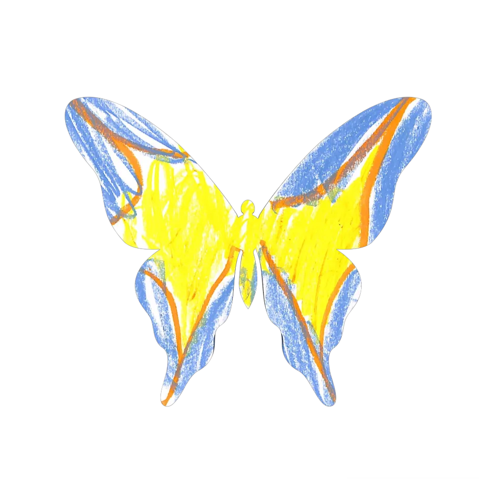 Original Butterfly Image