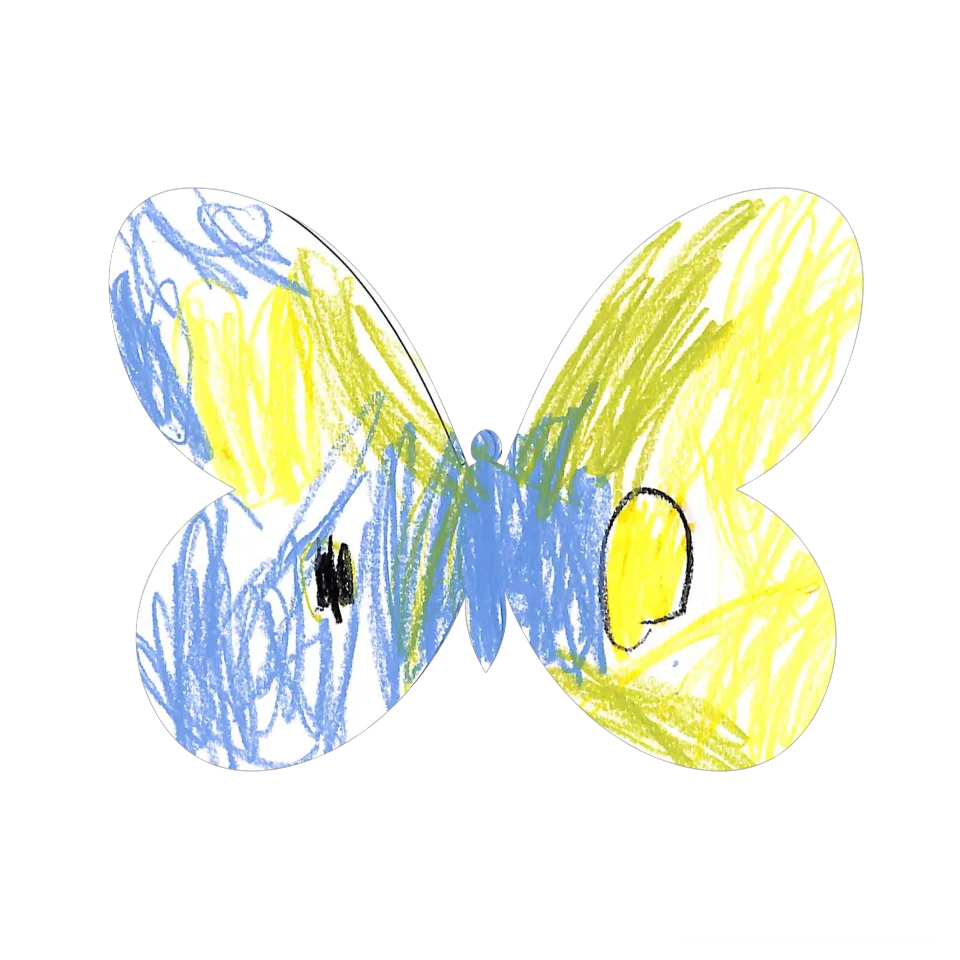 Original Butterfly Image