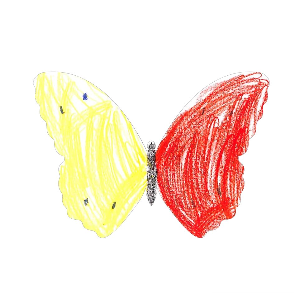 Original Butterfly Image
