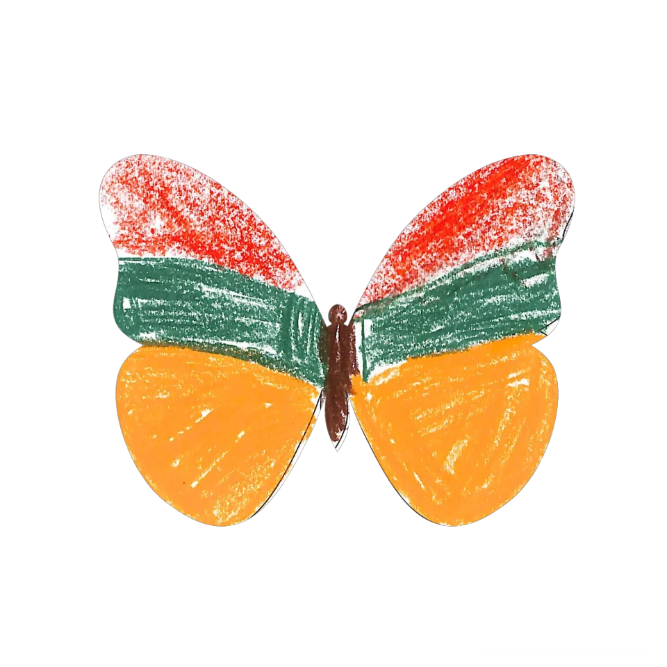 Original Butterfly Image