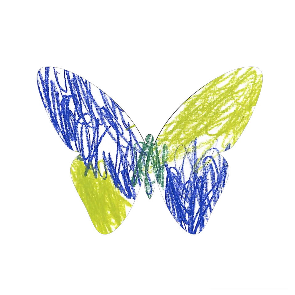 Original Butterfly Image