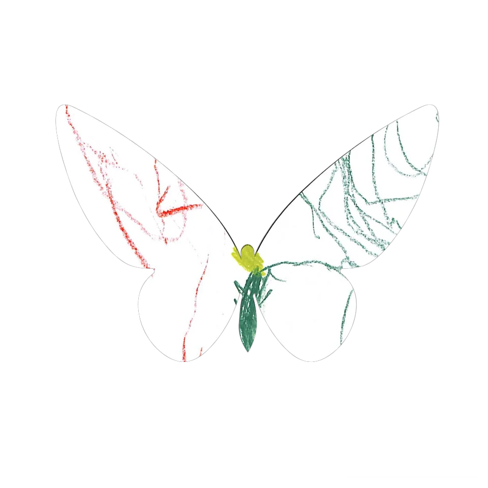 Original Butterfly Image