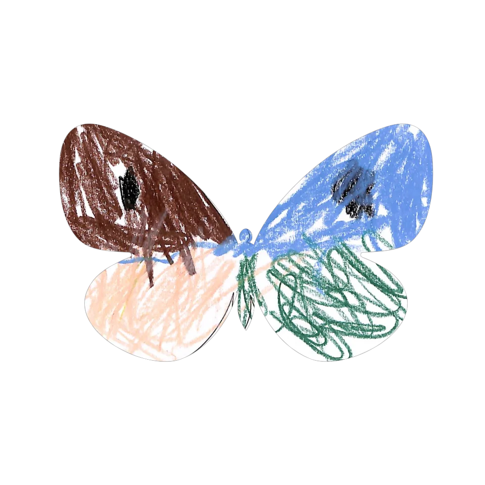 Original Butterfly Image