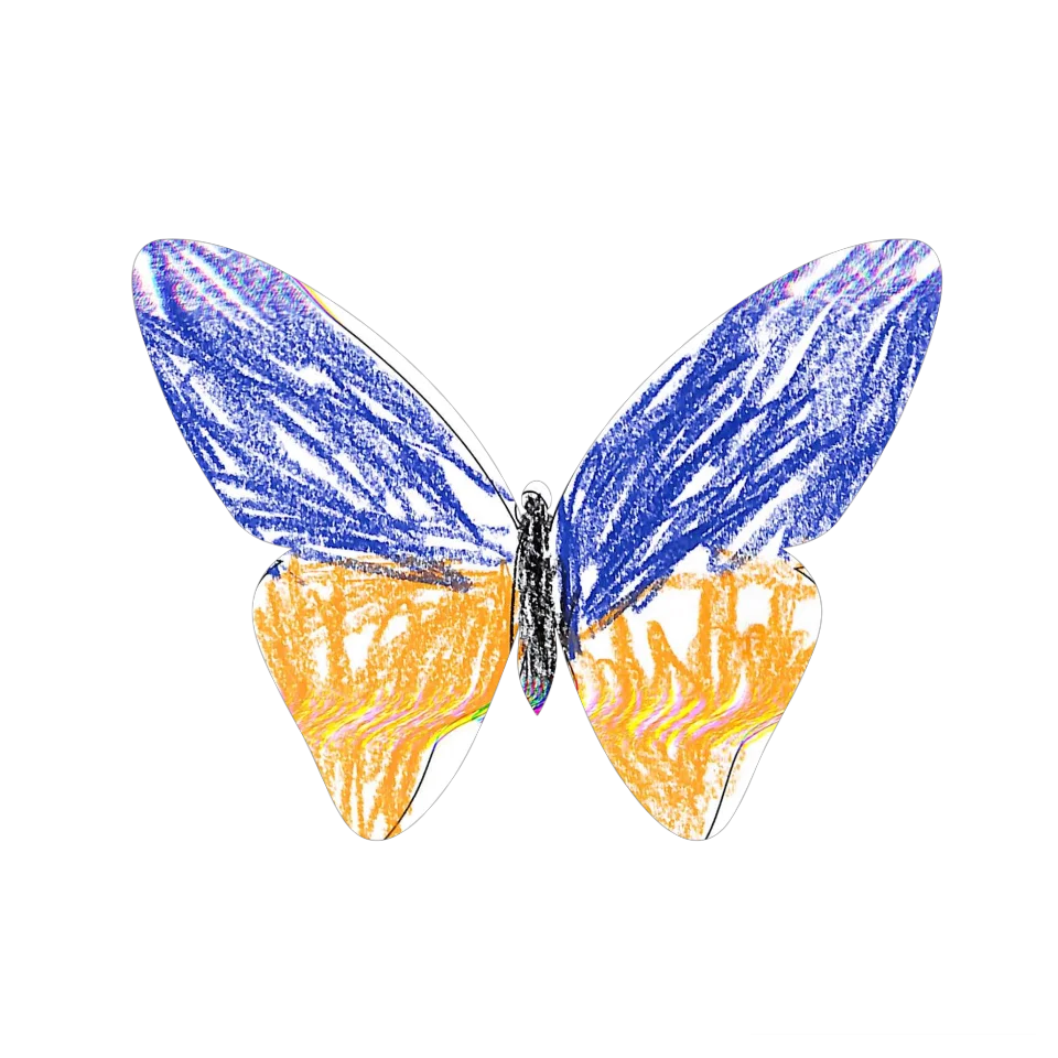 Original Butterfly Image