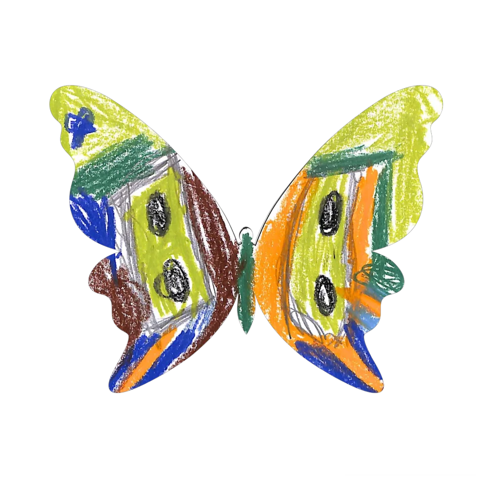 Original Butterfly Image