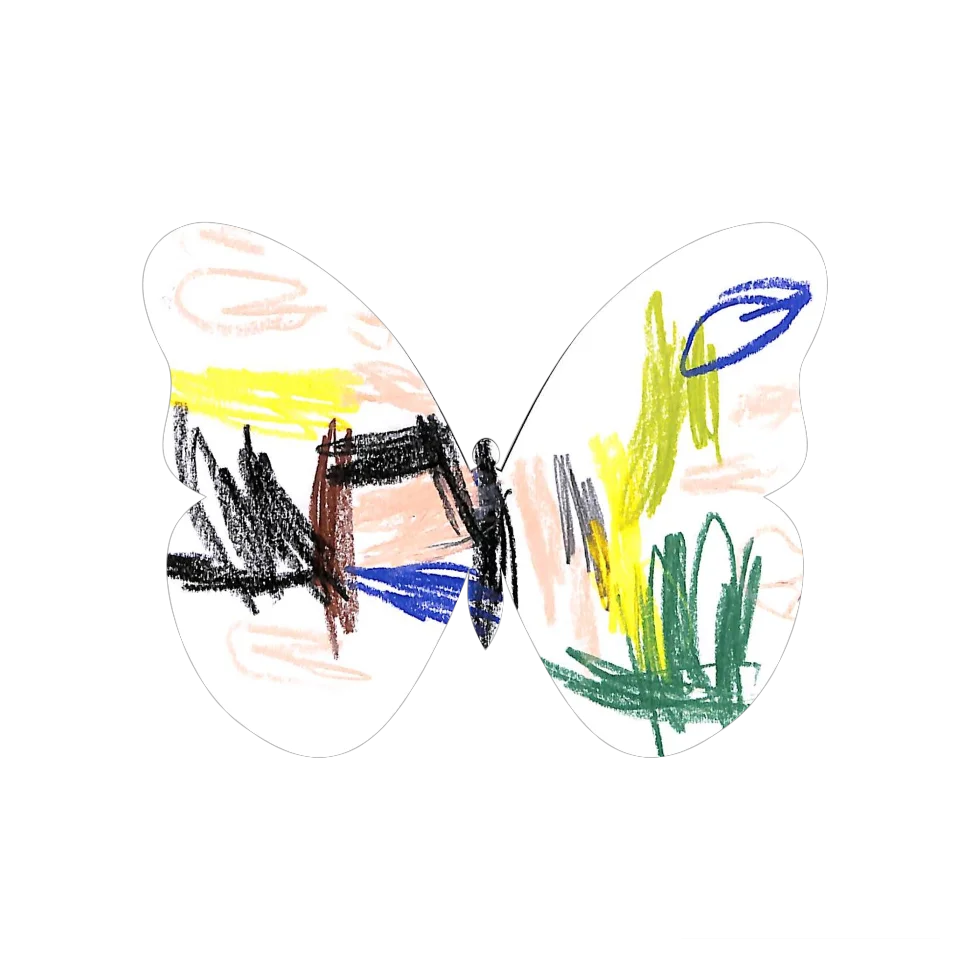 Original Butterfly Image
