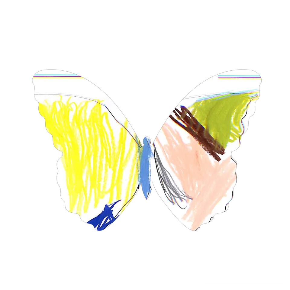Original Butterfly Image
