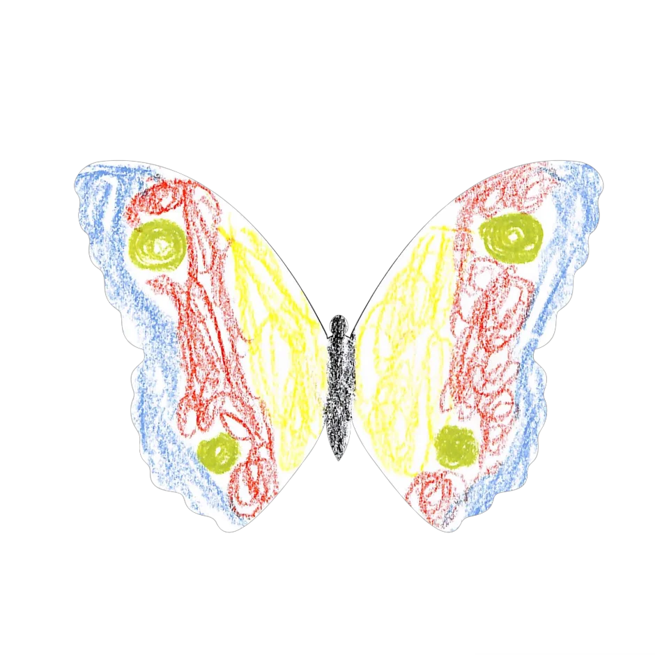 Original Butterfly Image