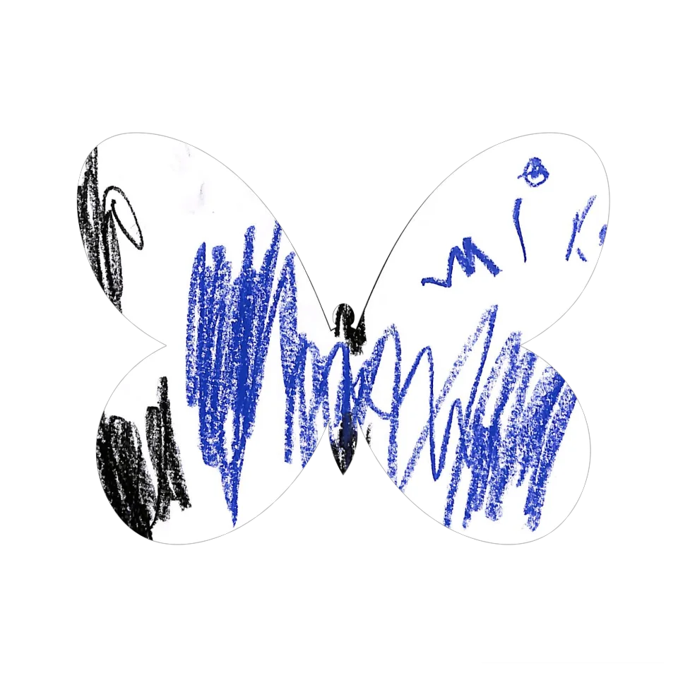 Original Butterfly Image
