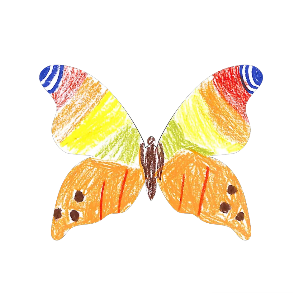 Original Butterfly Image