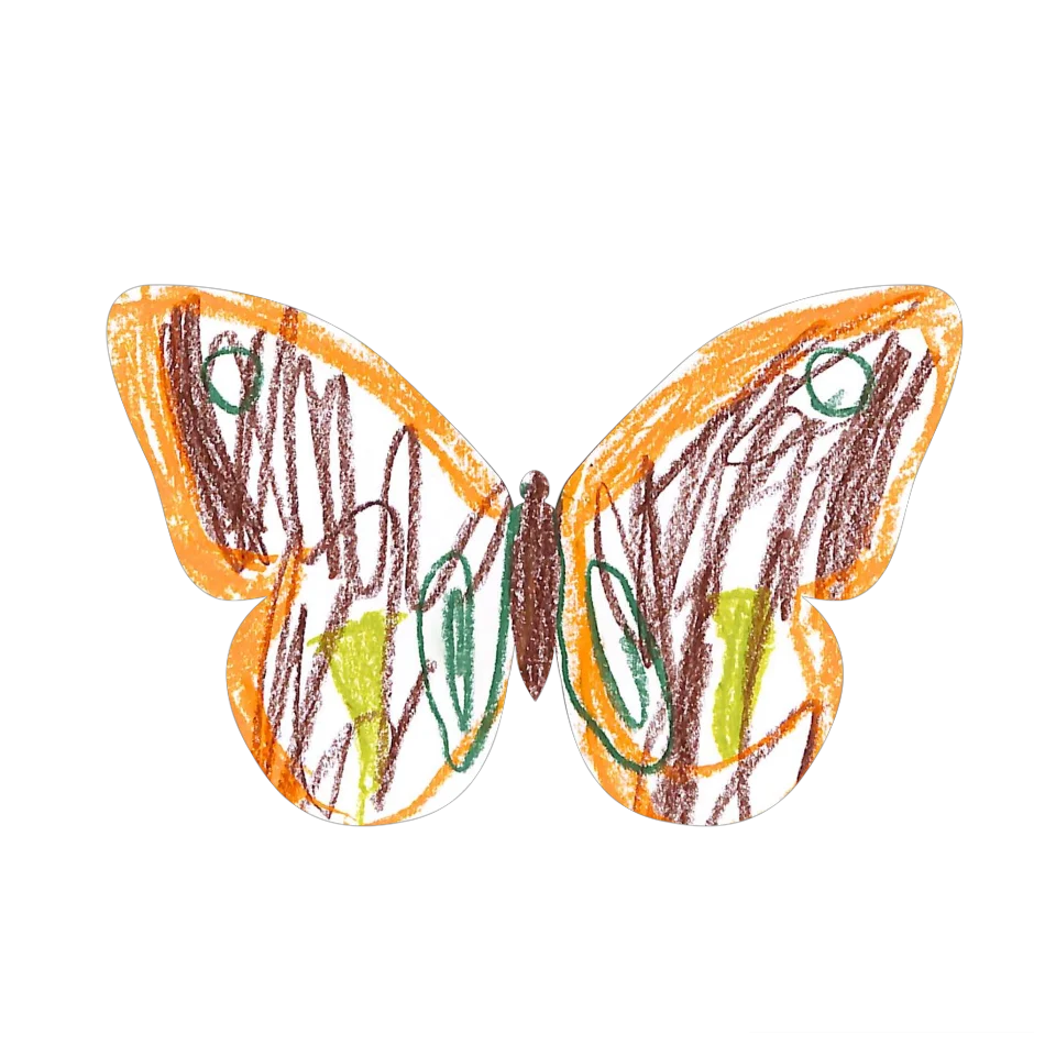 Original Butterfly Image
