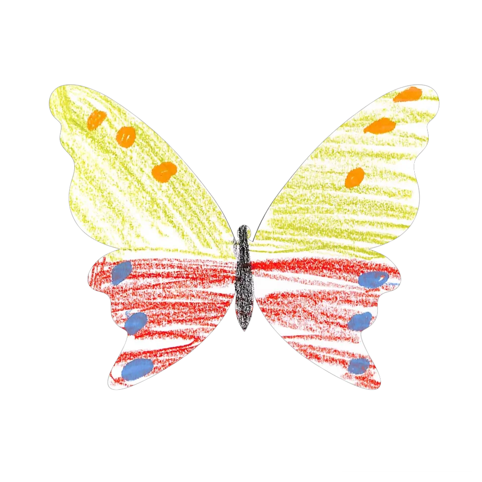 Original Butterfly Image