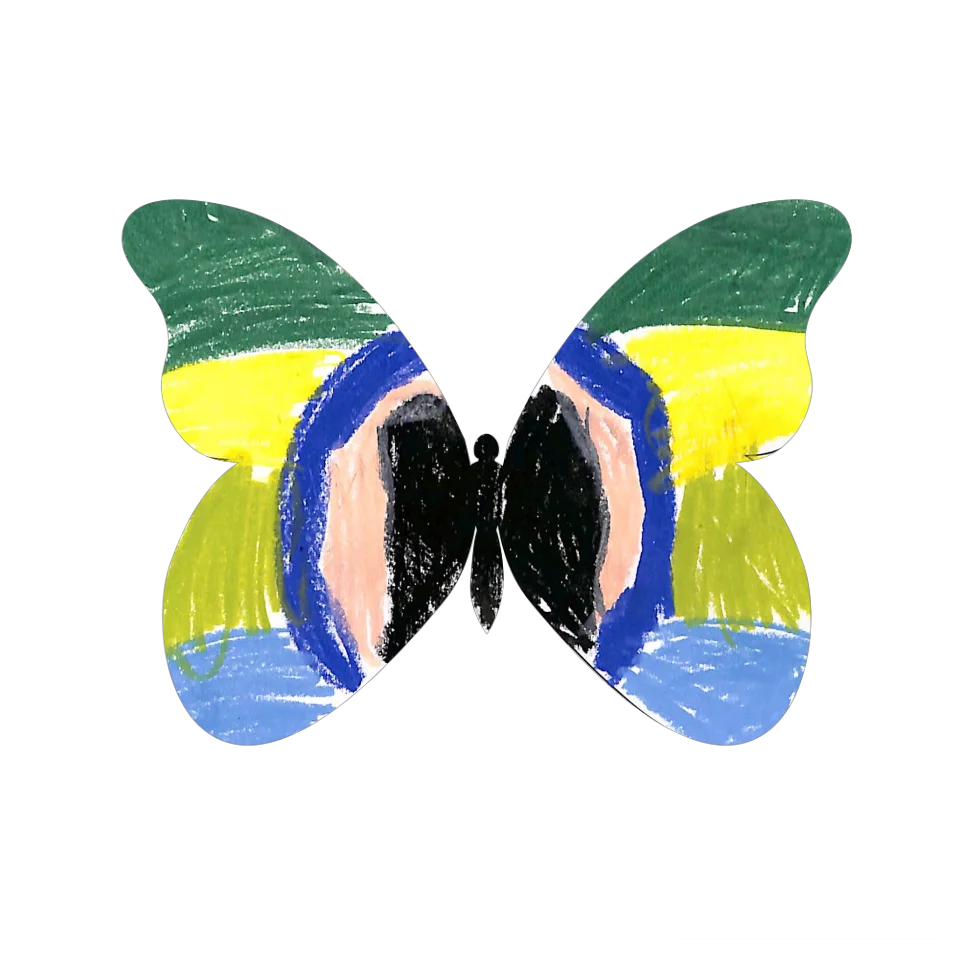 Original Butterfly Image