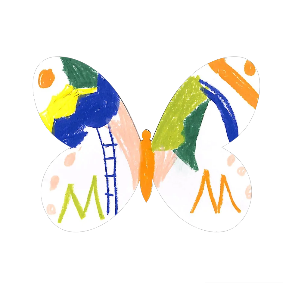 Original Butterfly Image