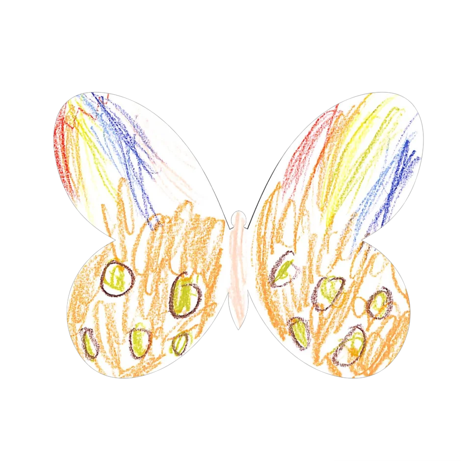 Original Butterfly Image