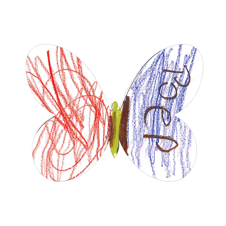 Original Butterfly Image