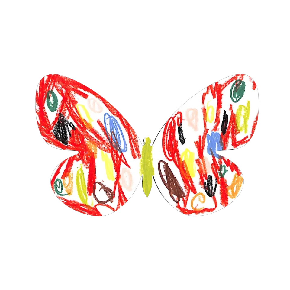 Original Butterfly Image