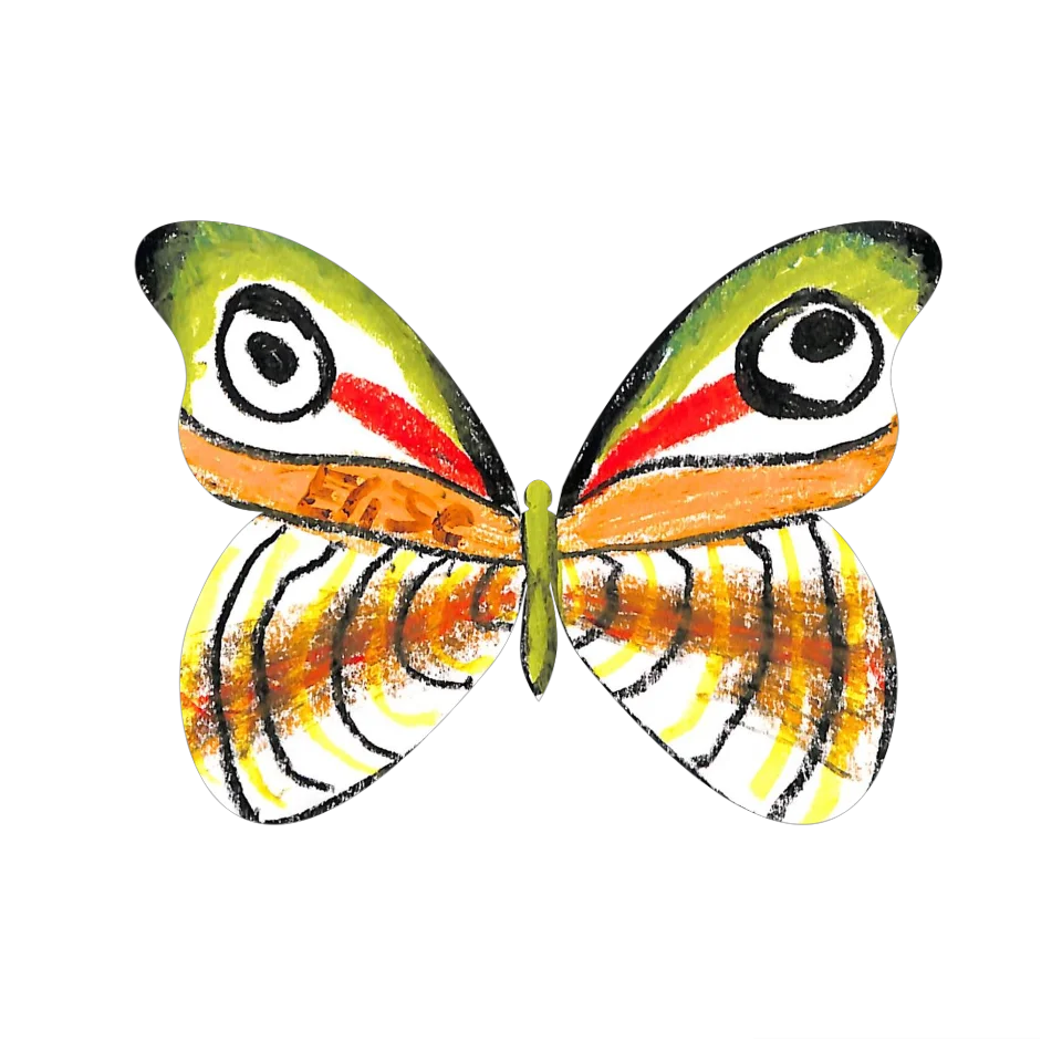 Original Butterfly Image