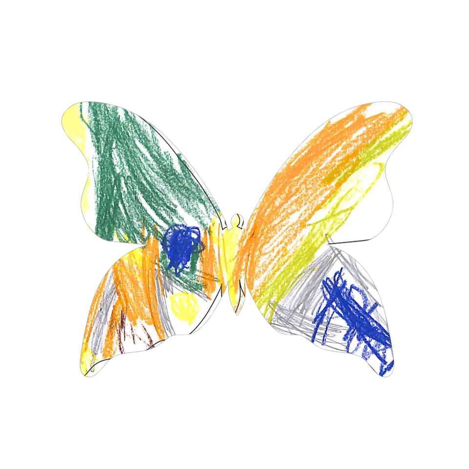 Original Butterfly Image