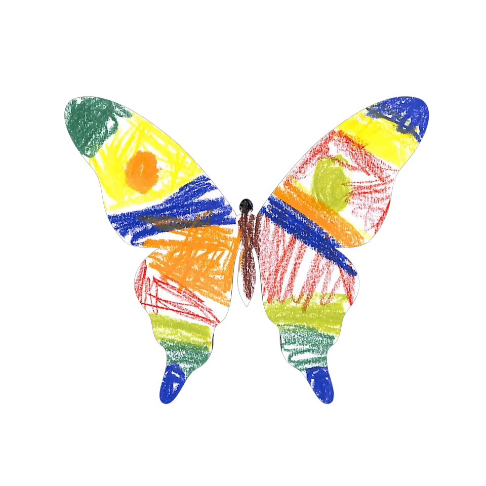 Original Butterfly Image