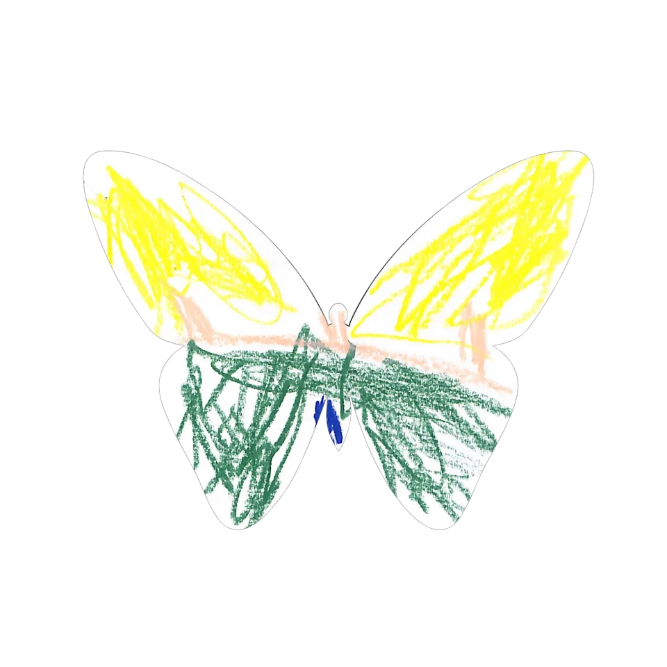 Original Butterfly Image