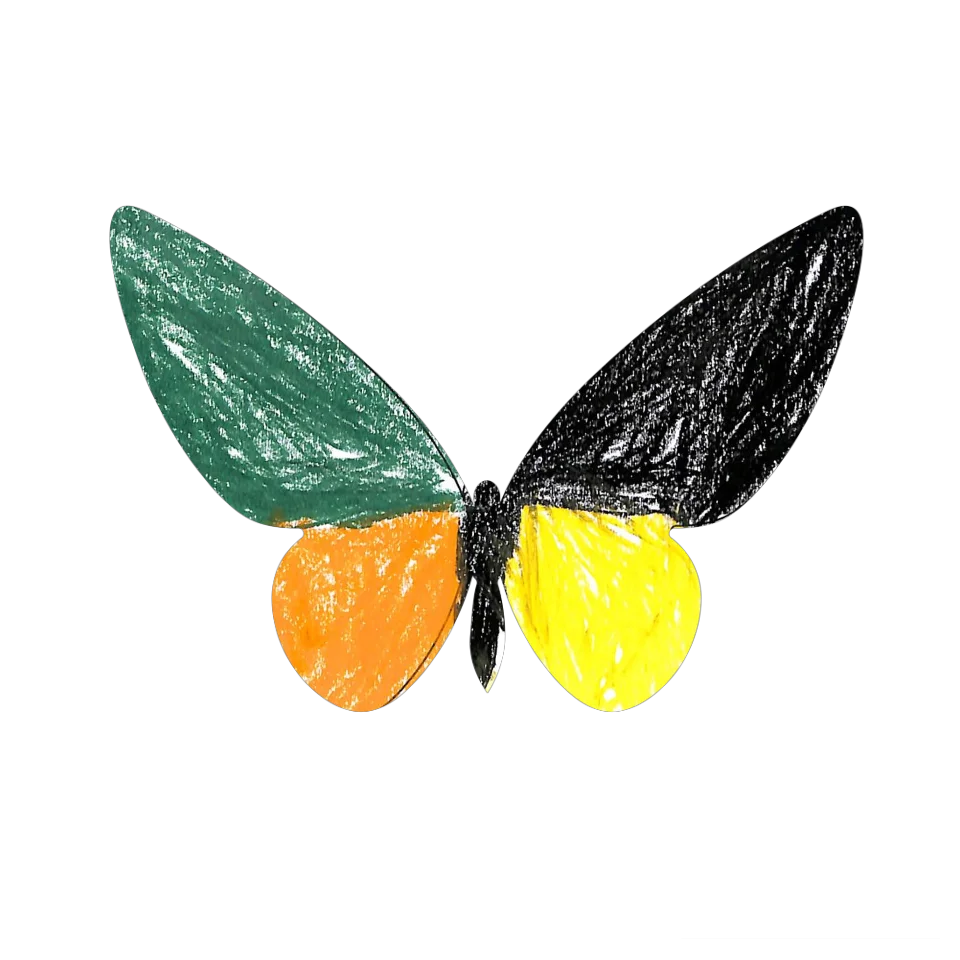 Original Butterfly Image