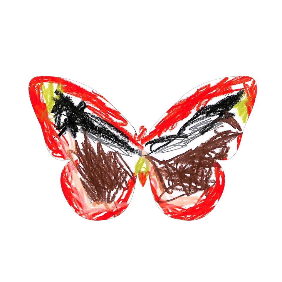 Original Butterfly Image