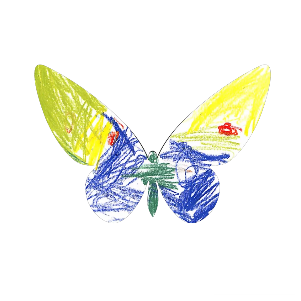 Original Butterfly Image