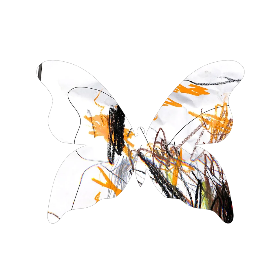 Original Butterfly Image