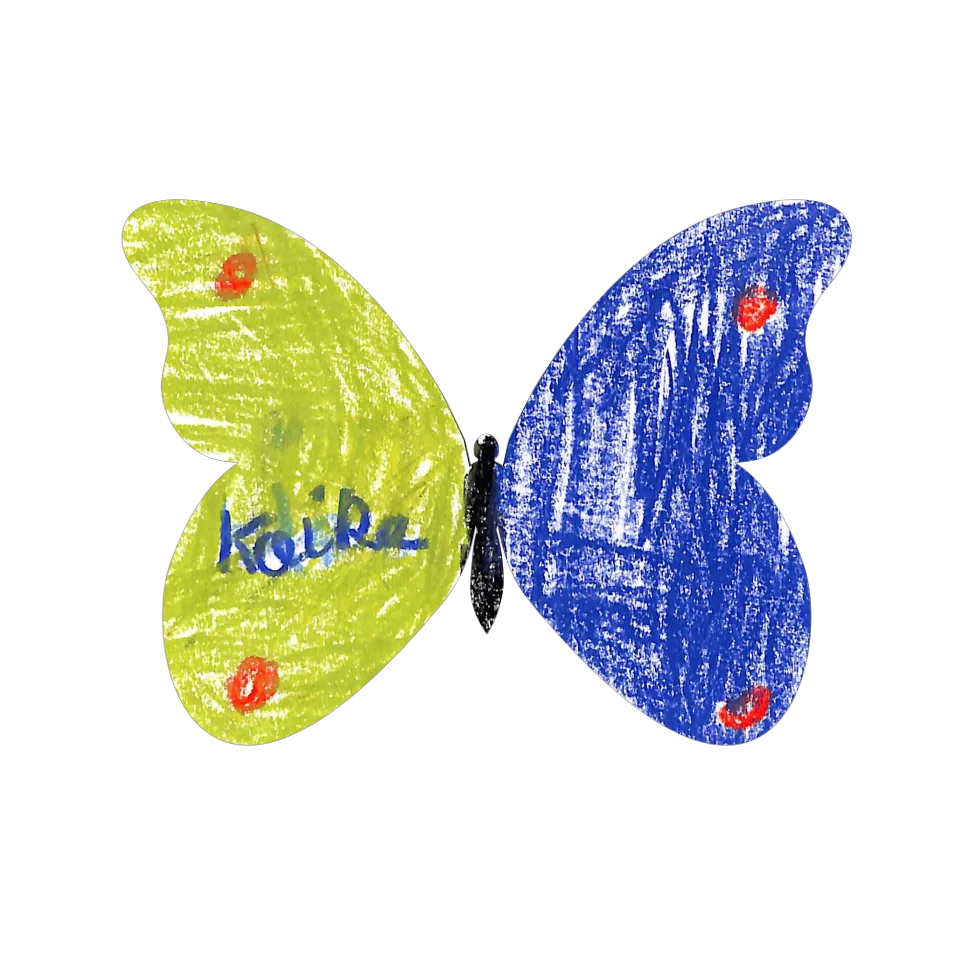 Original Butterfly Image