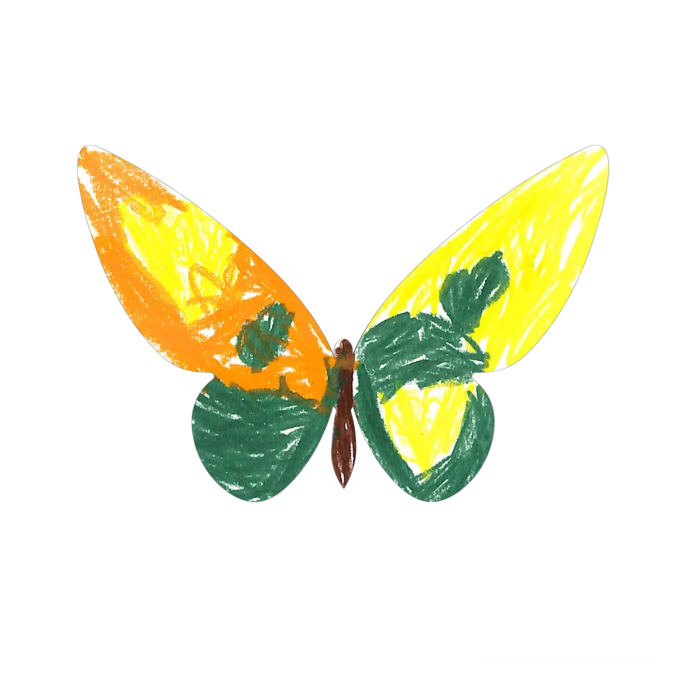 Original Butterfly Image