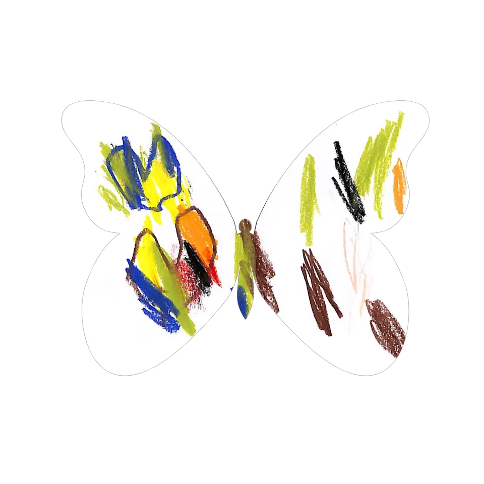 Original Butterfly Image