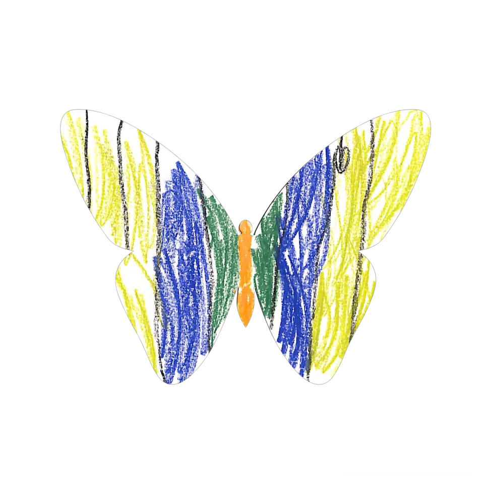 Original Butterfly Image