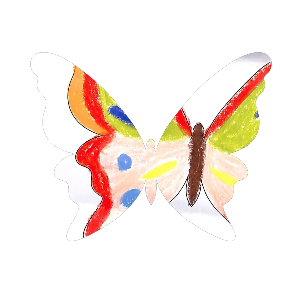 Original Butterfly Image
