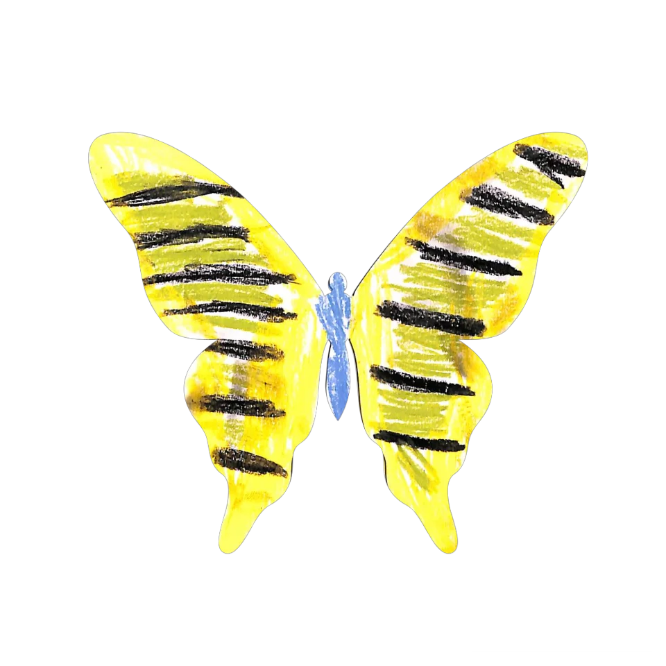Original Butterfly Image