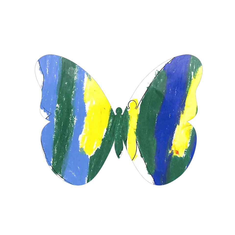 Original Butterfly Image