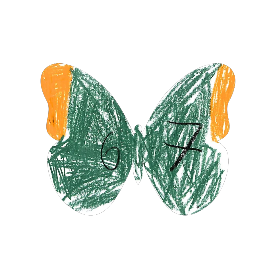 Original Butterfly Image