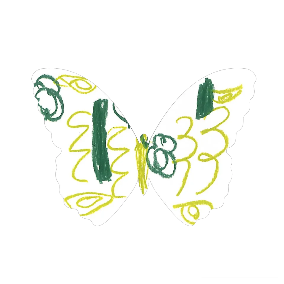 Original Butterfly Image