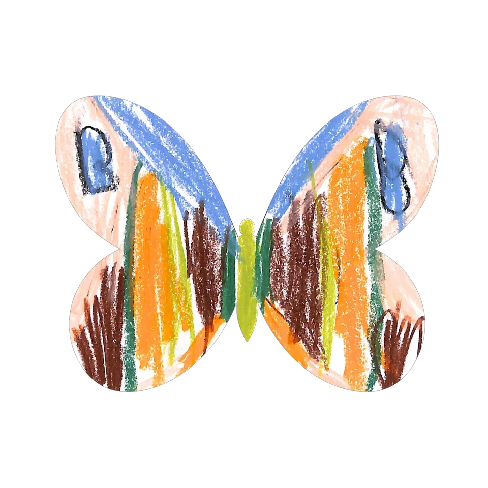 Original Butterfly Image