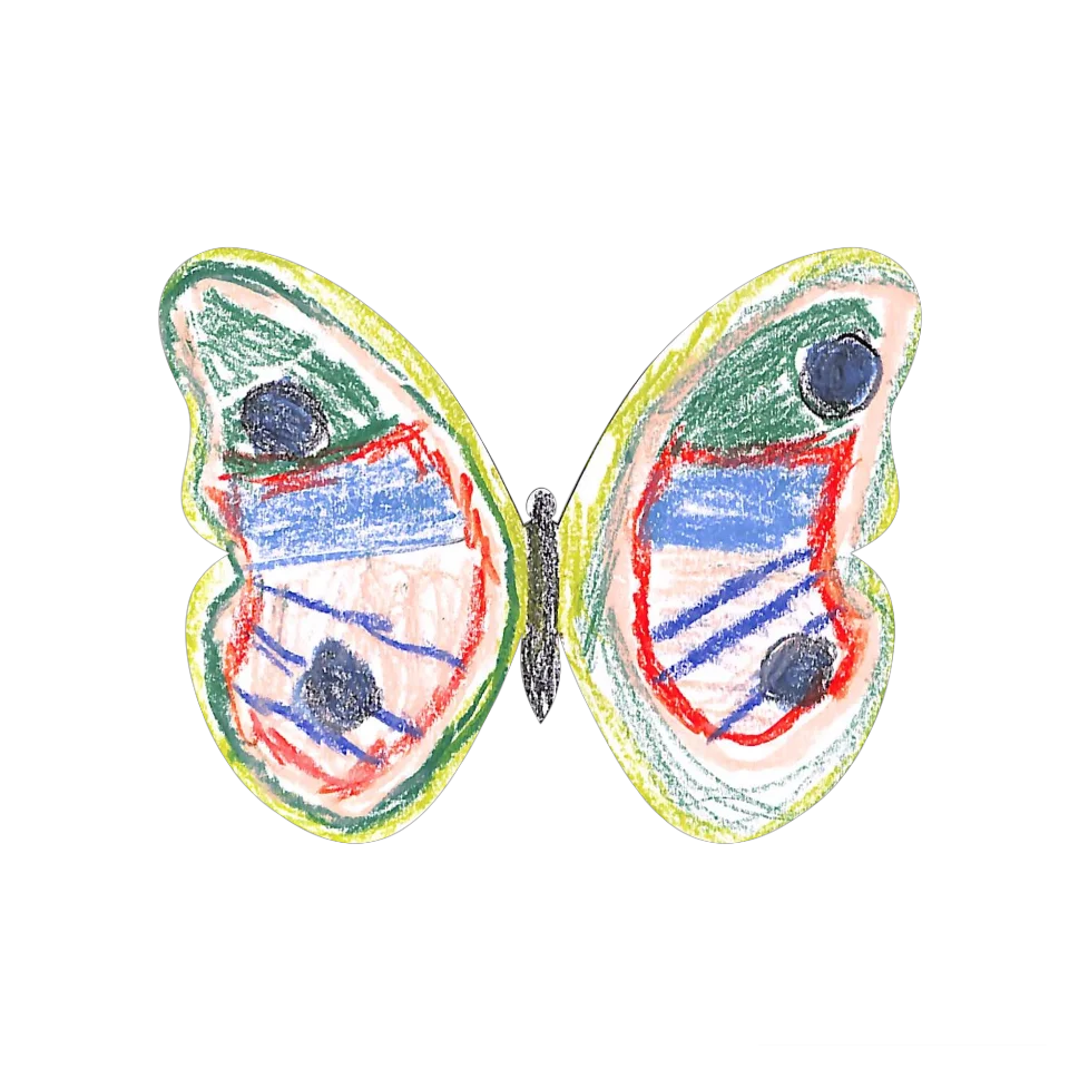 Original Butterfly Image