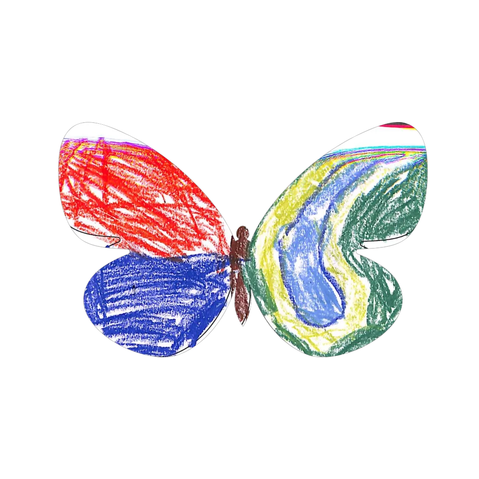 Original Butterfly Image